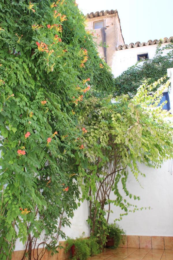 克萨达Casa Alcaida别墅 外观 照片